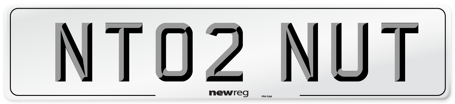 NT02 NUT Number Plate from New Reg
